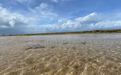 Piscinas naturais, Muro Alto, pôr do sol em Maracaípe 9 Praia de Muro Alto