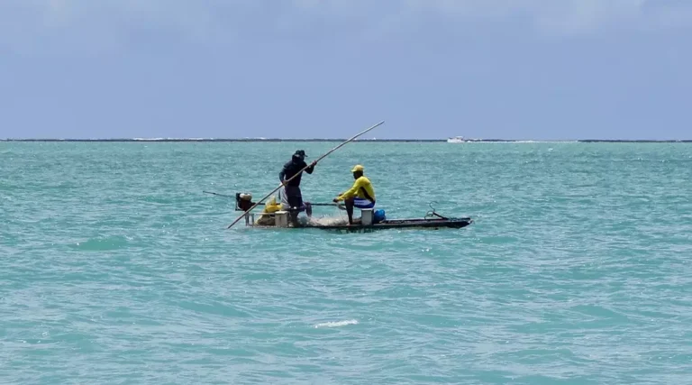 praia do Marceneiro em Alagoas