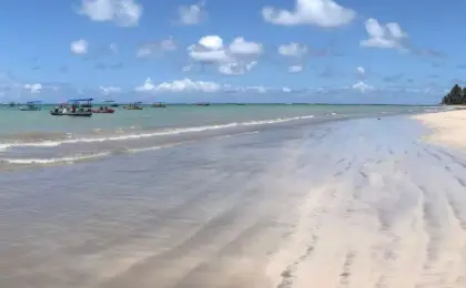 A praia do Marceneiro em Alagoas: da Rota Ecológica dos Milagres 11 Praia do marceneiro
