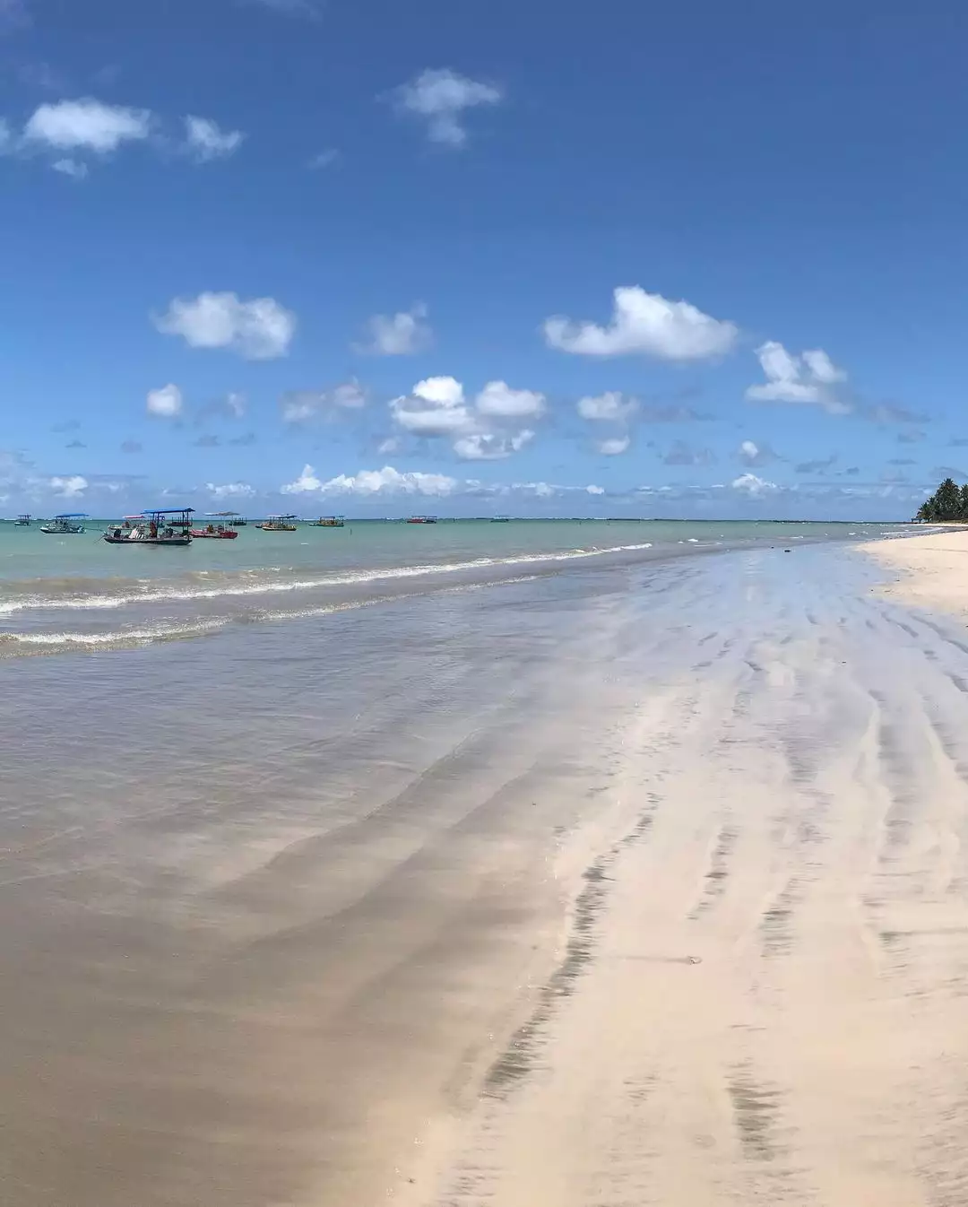 Praia do Marceneiro em Passo de Camaragibe, Alagoas