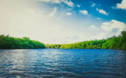 O Rio Azuis: O Menor Rio do Brasil e da América Latina 2024 7 rio
