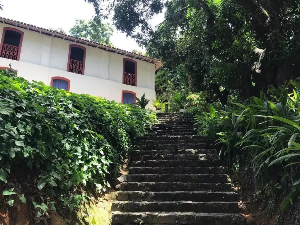 As fazendas do Espírito Santo foram construídas no período colonial e no Império, e serviam para a produção agrícola, principalmente de café e cana-de-açúcar. 