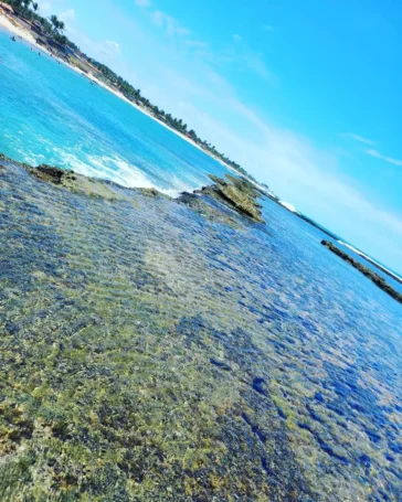 Praia de Calhetas em Pernambuco