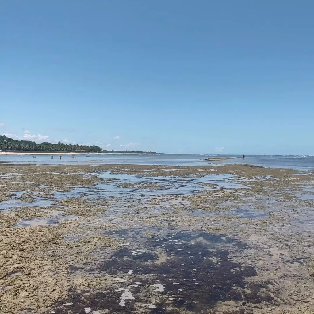 Praia do Mucugê: um paraíso escondido na Bahia