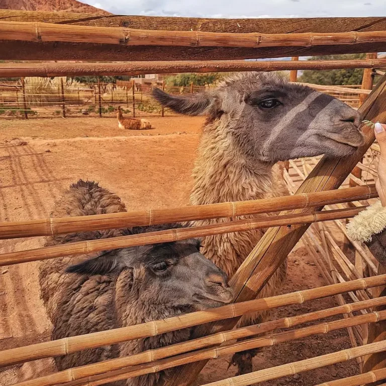 Melhores Destinos América do Sul: Guia Completo para 2024