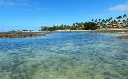 conheca as 4 melhores praias em morro de sao paulo na bahia