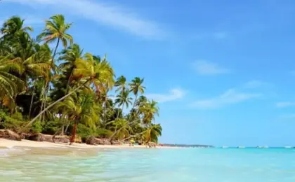 Cidades turísticas no Nordeste: conheça os melhores destinos para sua próxima viagem 10 grand oca maragogi 6 1