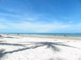 Baía dos Golfinhos em Pipa