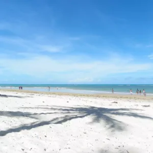 Baía dos Golfinhos em Pipa