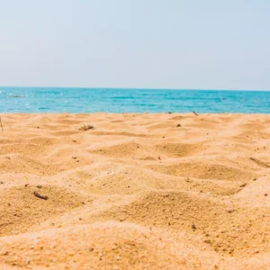 Image by lifeforstock on FreepikImage by lifeforstock on Freepik