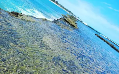 Praia de Calhetas em Pernambuco
