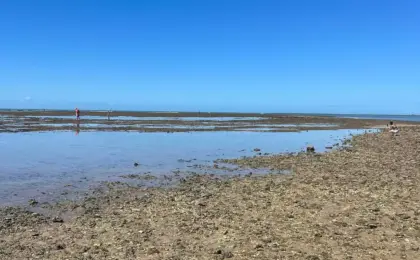Praia de Coroa Vermelha