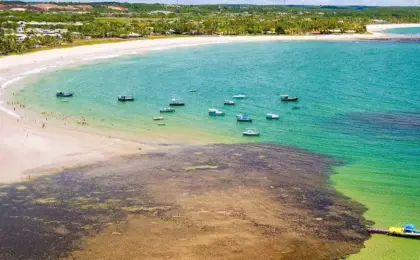 Praia de Itacimirim, Camaçari – BA 6 Praia de Itacimirim