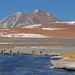 5 Pontos Turísticos do Chile que você vai amar conhecer