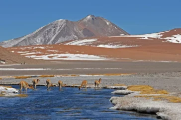 5 Pontos Turísticos do Chile que você vai amar conhecer