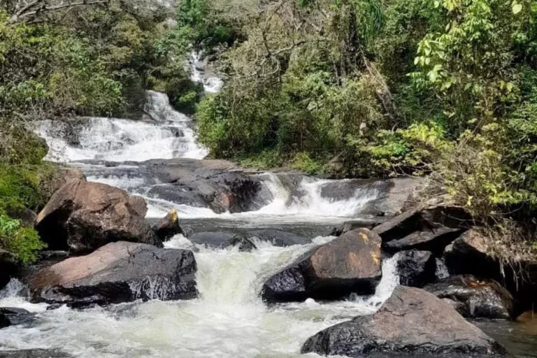 Cachoeira dos Pretos: Um paraíso para relaxar e se conectar com a natureza