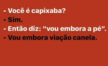 Dicionário Básico Capixabês