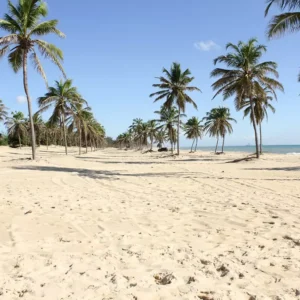 Lugares magníficos para conhecer no Ceará