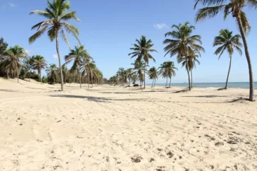 Lugares magníficos para conhecer no Ceará