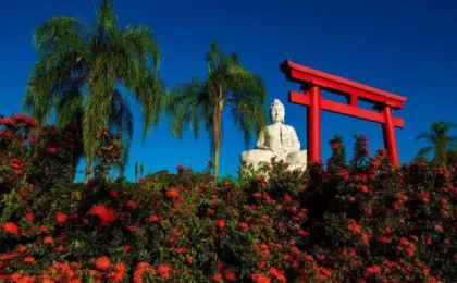 Buda Gigante