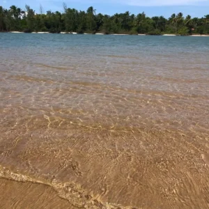 Praia dos Garcez