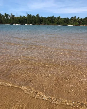 Praia dos Garcez