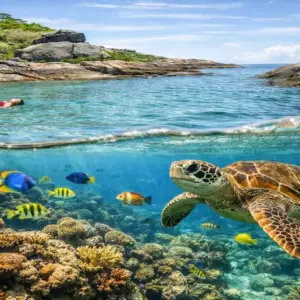 Fotografia subaquática split-shot nas Três Ilhas, Guarapari, mostrando banhistas na superfície e uma tartaruga marinha nadando com peixes coloridos em um recife de coral abaixo da água.