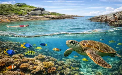 Três Ilhas ou Cinco? Descubra os Segredos desse Arquipélago em Guarapari 8 Fotografia subaquática split-shot nas Três Ilhas, Guarapari, mostrando banhistas na superfície e uma tartaruga marinha nadando com peixes coloridos em um recife de coral abaixo da água.