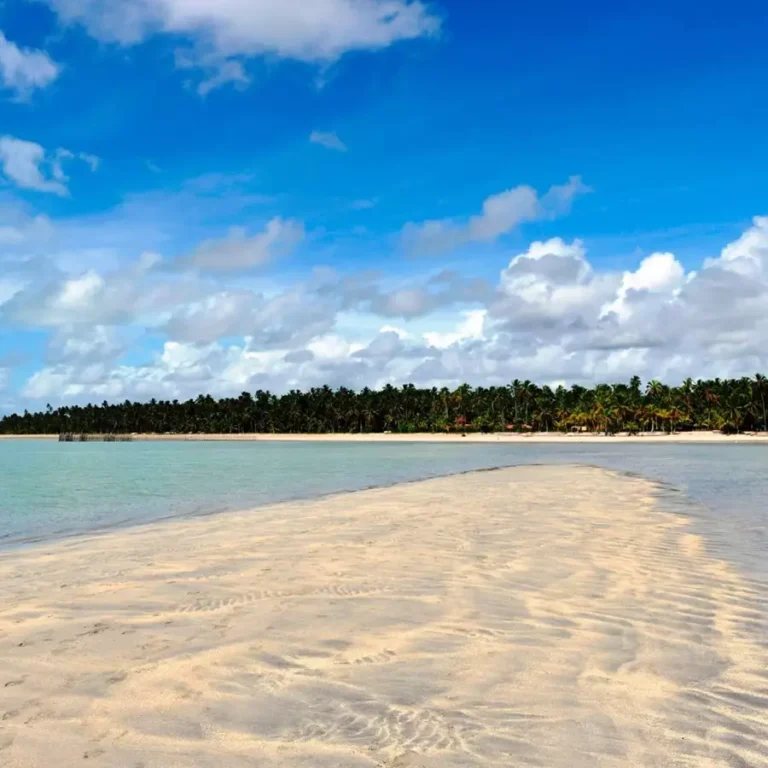 Em qual cidade fica a praia de Maragogi?