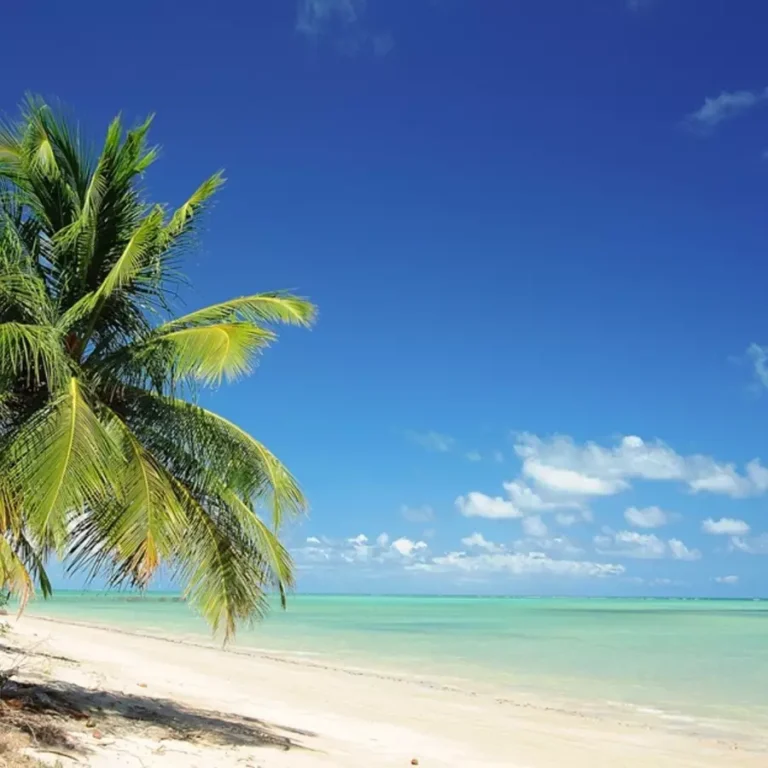 Onde se Hospedar em Maragogi Alagoas