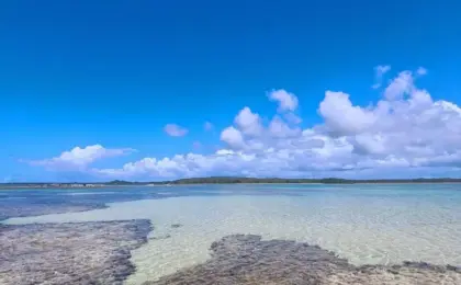 Piscinas naturais de Moreré: não perca o passeio em Boipeba 8 Moreré