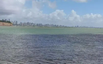 Piscinas Naturais do Seixas em João Pessoa, Paraíba: O Caribe Brasileiro 11 Piscinas Naturais do Seixas em João Pessoa