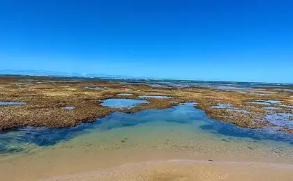 Praia da Espera