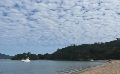 Praia das Pitangueiras