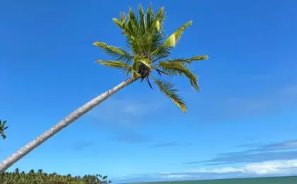 O Brasil é lindo! Duas praias brasileiras entre as 25 melhores do mundo 7 Praia de Ipioca