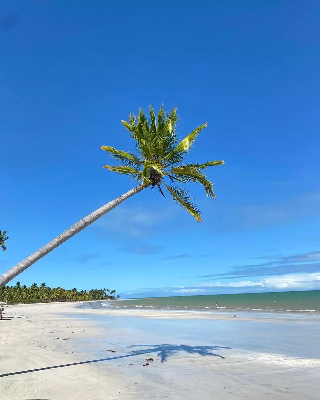 O Brasil é lindo! Duas praias brasileiras entre as 25 melhores do mundo 9 Praia de Ipioca