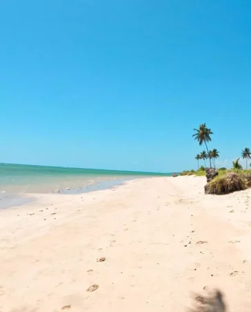 praia do patacho