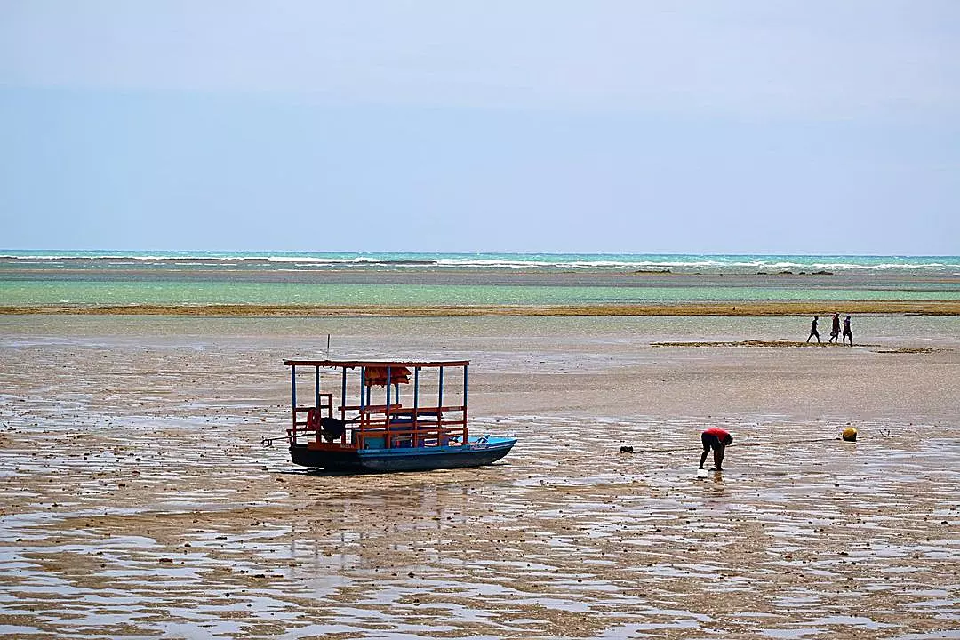 Praia do Patacho: Um destino tranquilo e fascinante no litoral norte de Alagoas 