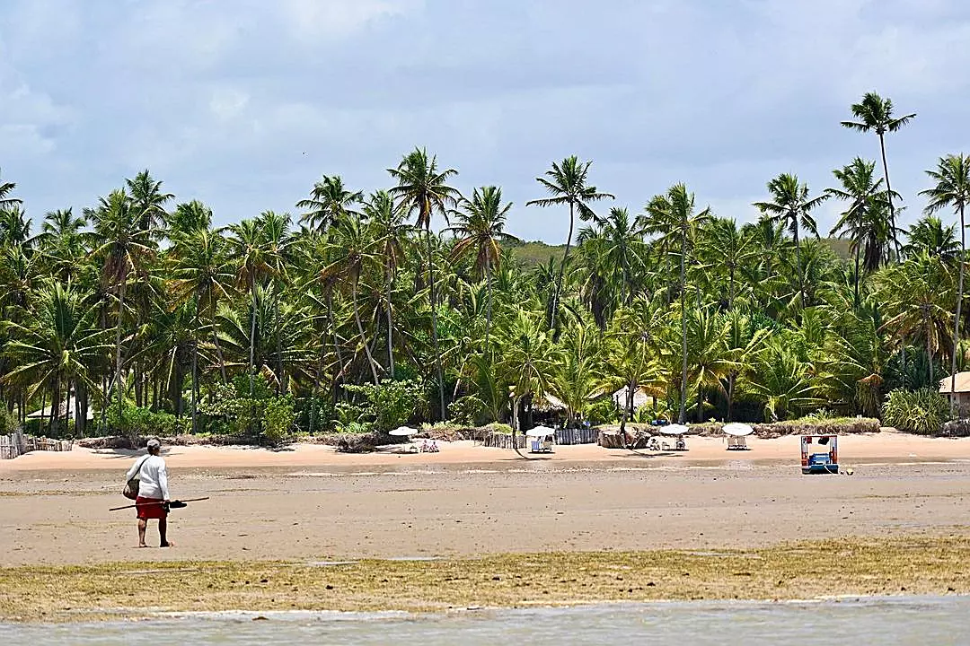 Praia do Patacho: Um destino tranquilo e fascinante no litoral norte de Alagoas 