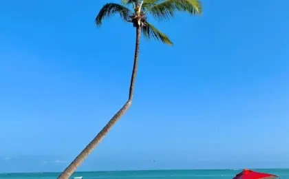 Alagoas