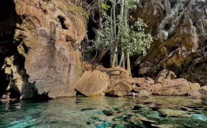 Lagoa do Japonês: um paraíso natural a poucas horas do Jalapão 6 Lagoa do Japonês