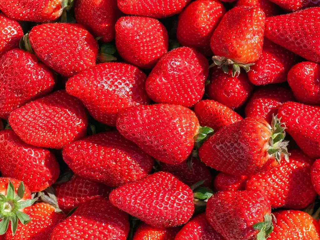 Foto de Natasha Skov na Unsplash