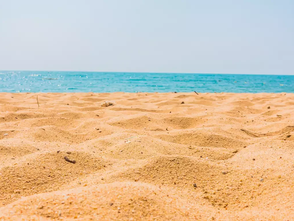 Image by lifeforstock on FreepikImage by lifeforstock on Freepik