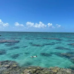 Parrachos de Maracajaú Um paraíso natural no Rio Grande do Norte