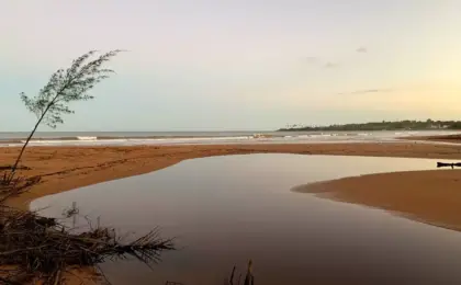 Praia Formosa: 4 dicas para visitar a praia 10 Praia Formosa