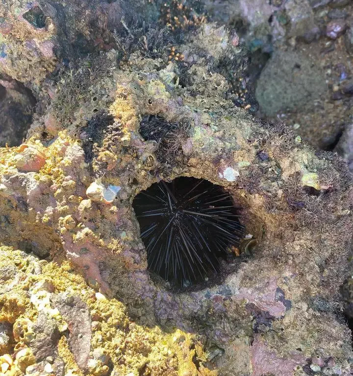 Pedra que Engole em Trindade, Paraty no Rio de janeiro