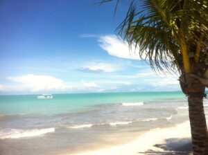 As Três Praias Imperdíveis do Litoral de Alagoas, Nordeste Brasileiro