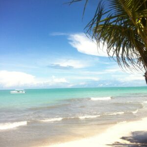 As Três Praias Imperdíveis do Litoral de Alagoas, Nordeste Brasileiro