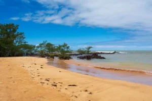 Praia da Biologia