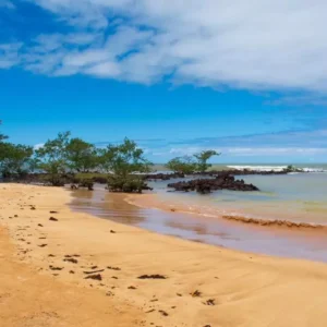 Praia da Biologia